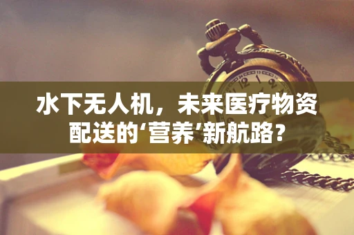 水下无人机，未来医疗物资配送的‘营养’新航路？