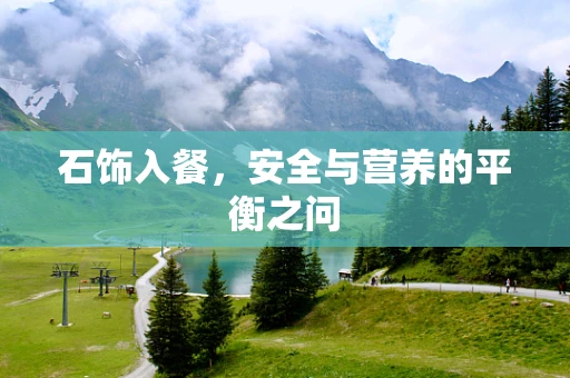 石饰入餐，安全与营养的平衡之问