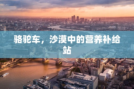 骆驼车，沙漠中的营养补给站