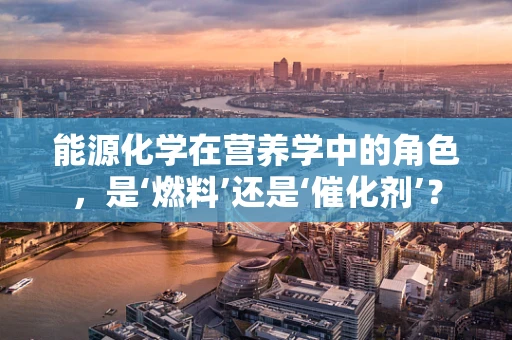 能源化学在营养学中的角色，是‘燃料’还是‘催化剂’？