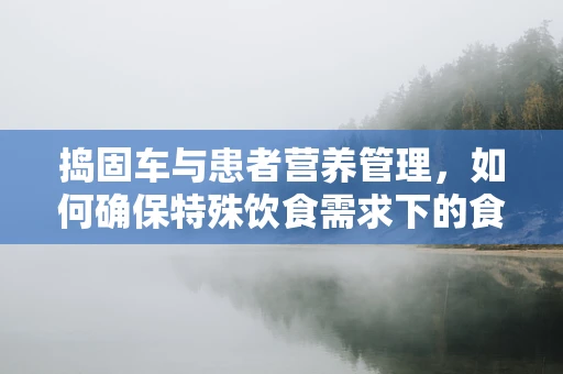 捣固车与患者营养管理，如何确保特殊饮食需求下的食物质地安全？