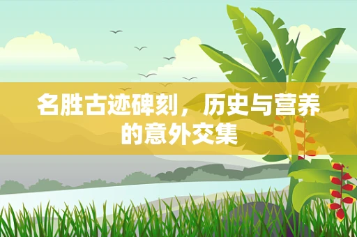 名胜古迹碑刻，历史与营养的意外交集