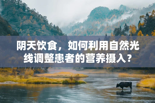 阴天饮食，如何利用自然光线调整患者的营养摄入？