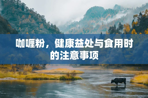 咖喱粉，健康益处与食用时的注意事项