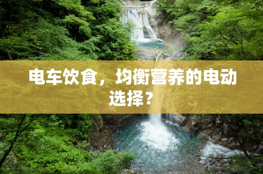 电车饮食，均衡营养的电动选择？