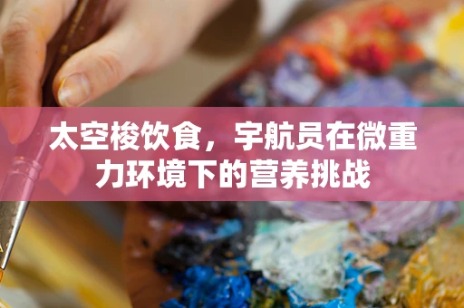 太空梭饮食，宇航员在微重力环境下的营养挑战