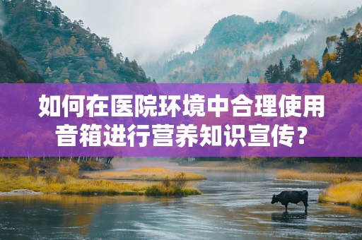 如何在医院环境中合理使用音箱进行营养知识宣传？