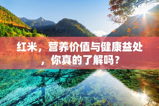 红米，营养价值与健康益处，你真的了解吗？