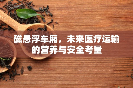 磁悬浮车厢，未来医疗运输的营养与安全考量
