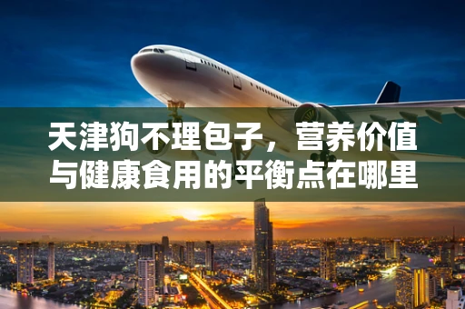 天津狗不理包子，营养价值与健康食用的平衡点在哪里？
