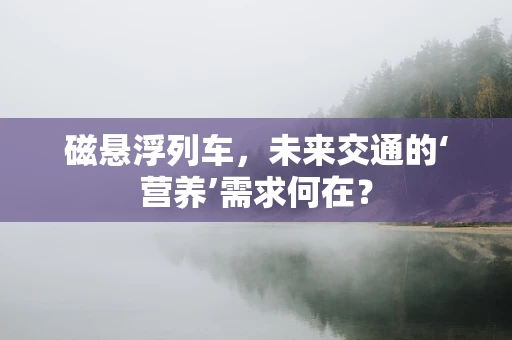 磁悬浮列车，未来交通的‘营养’需求何在？