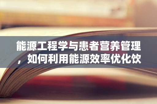 能源工程学与患者营养管理，如何利用能源效率优化饮食计划？