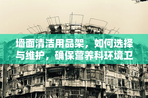 墙面清洁用品架，如何选择与维护，确保营养科环境卫生？