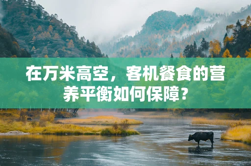 在万米高空，客机餐食的营养平衡如何保障？