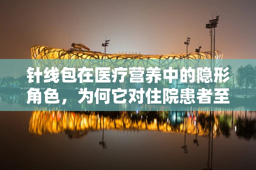 针线包在医疗营养中的隐形角色，为何它对住院患者至关重要？