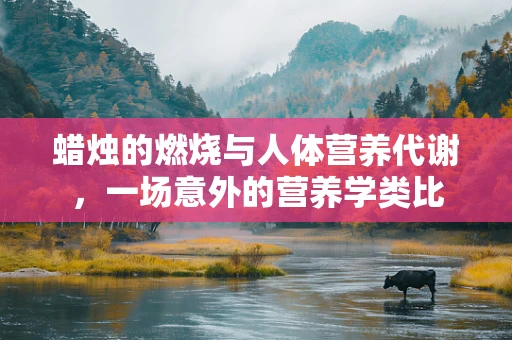 蜡烛的燃烧与人体营养代谢，一场意外的营养学类比