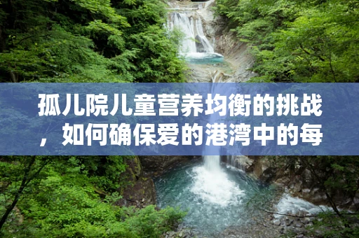 孤儿院儿童营养均衡的挑战，如何确保爱的港湾中的每一份餐食都充满爱与健康？