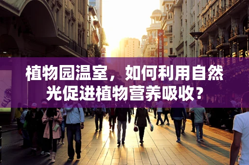 植物园温室，如何利用自然光促进植物营养吸收？