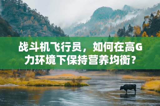 战斗机飞行员，如何在高G力环境下保持营养均衡？