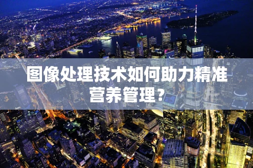图像处理技术如何助力精准营养管理？