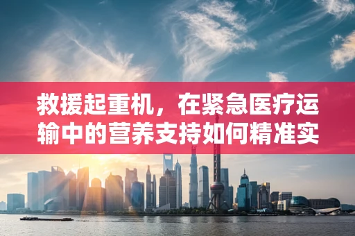 救援起重机，在紧急医疗运输中的营养支持如何精准实施？