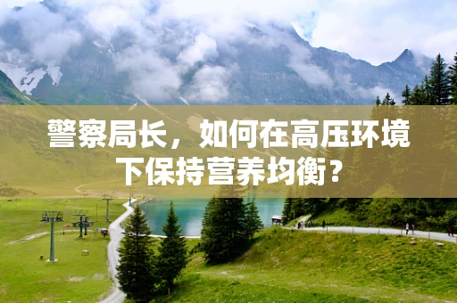 警察局长，如何在高压环境下保持营养均衡？