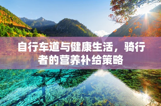 自行车道与健康生活，骑行者的营养补给策略
