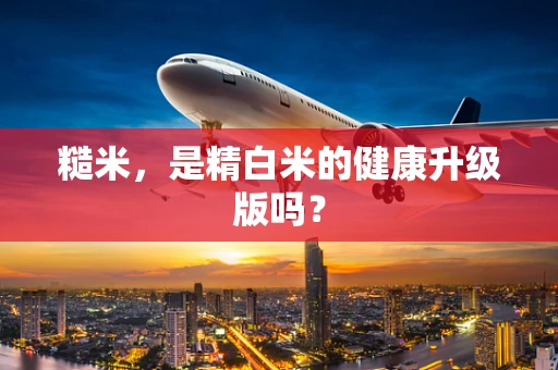 糙米，是精白米的健康升级版吗？
