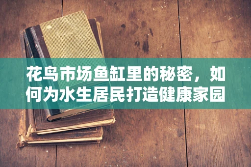 花鸟市场鱼缸里的秘密，如何为水生居民打造健康家园？