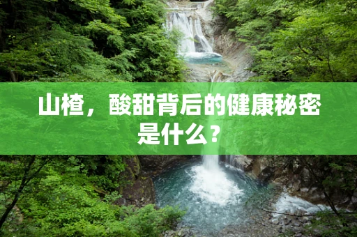 山楂，酸甜背后的健康秘密是什么？