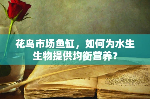 花鸟市场鱼缸，如何为水生生物提供均衡营养？