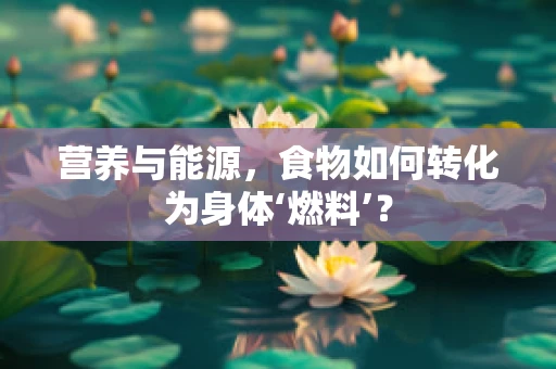 营养与能源，食物如何转化为身体‘燃料’？