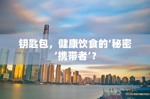 钥匙包，健康饮食的‘秘密’携带者’？