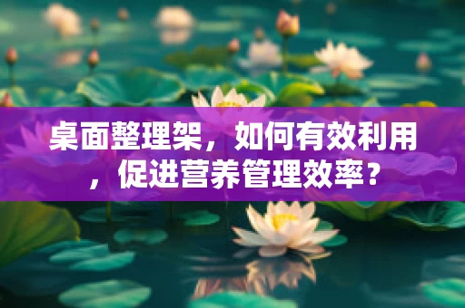 桌面整理架，如何有效利用，促进营养管理效率？