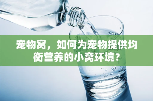 宠物窝，如何为宠物提供均衡营养的小窝环境？