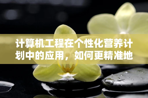计算机工程在个性化营养计划中的应用，如何更精准地定制患者饮食方案？