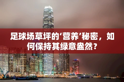 足球场草坪的‘营养’秘密，如何保持其绿意盎然？