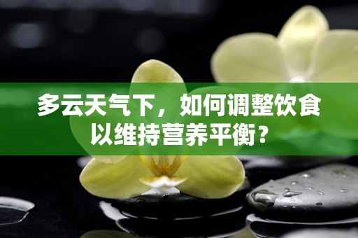 多云天气下，如何调整饮食以维持营养平衡？