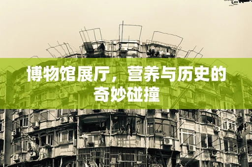 博物馆展厅，营养与历史的奇妙碰撞