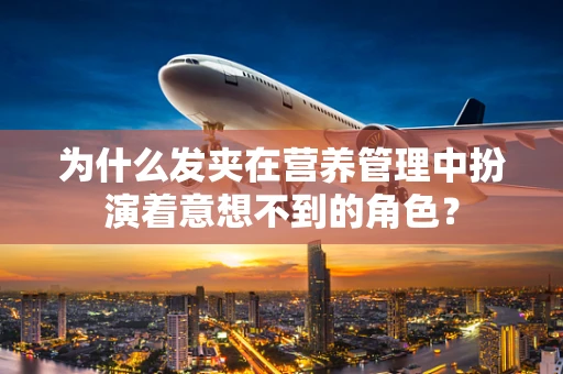 为什么发夹在营养管理中扮演着意想不到的角色？