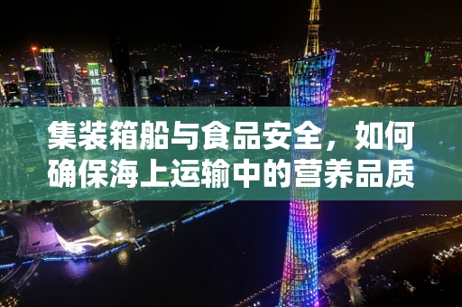 集装箱船与食品安全，如何确保海上运输中的营养品质量？
