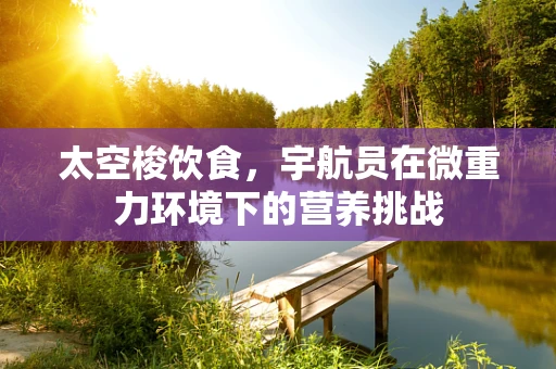 太空梭饮食，宇航员在微重力环境下的营养挑战