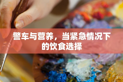 警车与营养，当紧急情况下的饮食选择