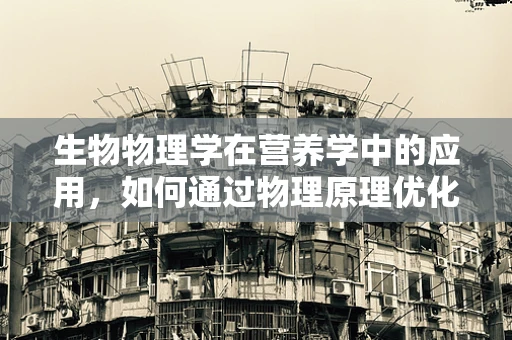生物物理学在营养学中的应用，如何通过物理原理优化食物吸收？