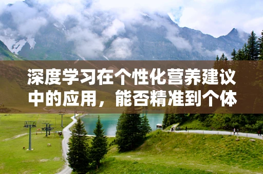 深度学习在个性化营养建议中的应用，能否精准到个体？