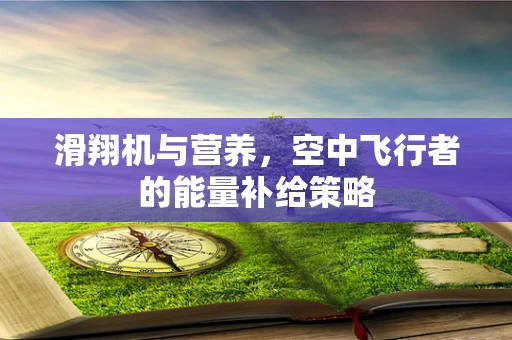 滑翔机与营养，空中飞行者的能量补给策略