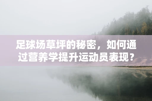 足球场草坪的秘密，如何通过营养学提升运动员表现？