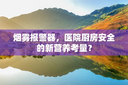 烟雾报警器，医院厨房安全的新营养考量？