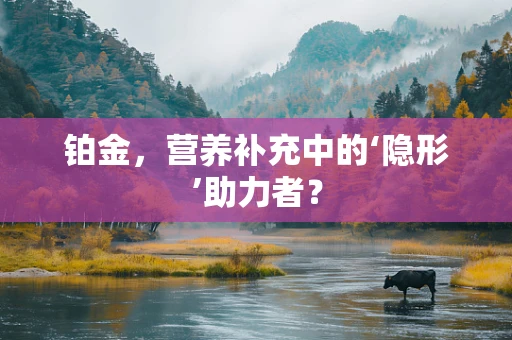 铂金，营养补充中的‘隐形’助力者？