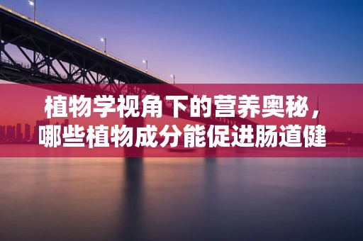 植物学视角下的营养奥秘，哪些植物成分能促进肠道健康？